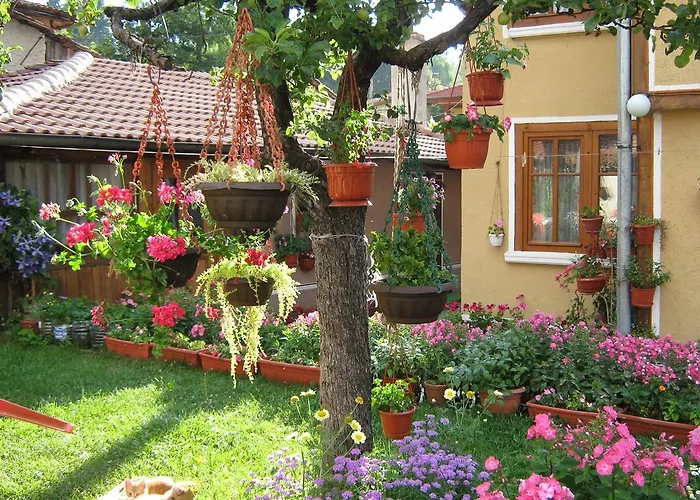 Guest Bashtina Striaha Pensjonat Kopriwsztica