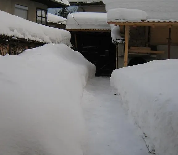 Guest Bashtina Striaha Kopriwsztica